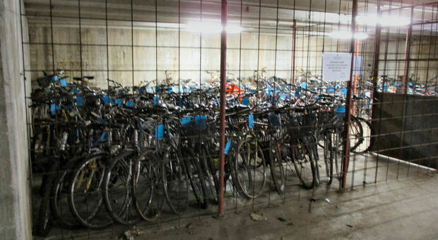 Dal 23 novembre al 2 dicembre andranno all'asta 160 biciclette