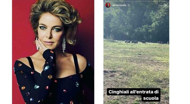 L'attrice Claudia Gerini posta su Instagram l'incontro con un gruppo di cinghiali avvenuto questa mattina durante una passeggiata col suo cane in un parco di Roma Nord