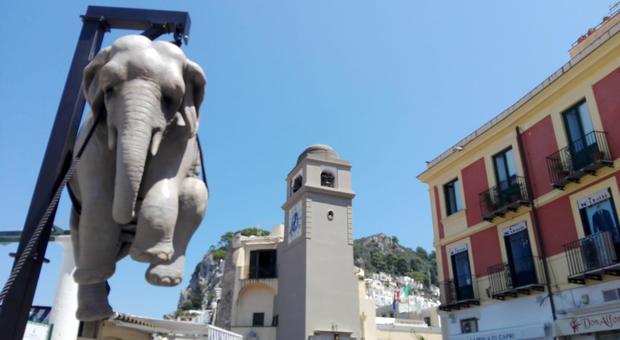 Marta e l'elefante, la nuova mega installazione in Piazzetta