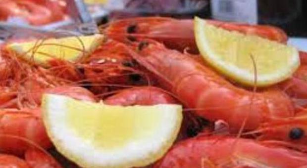 Carbonara di pesce, gamberi, ravioli al cavolo i piatti “amici” della tiroide: ricette on line