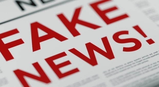 Fake news, l'allarme degli esperti: «Possono nuocere alla salute»