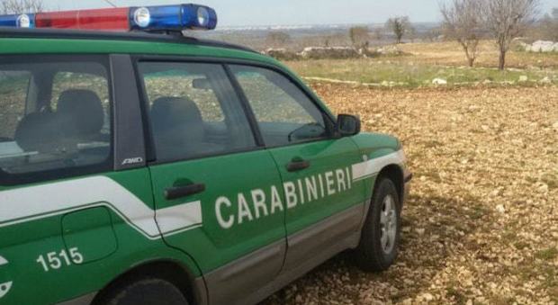 Scoperta officina abusiva nel Napoletano: sequestrata dai carabinieri forestali