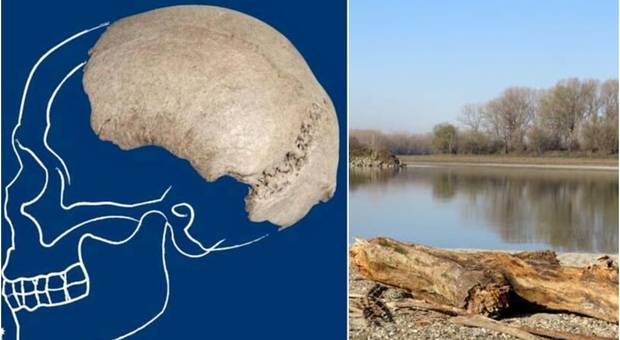 Cranio di Homo Sapiens affiora nel Po in secca: la scoperta dell'archeologo sindaco Davide Persico