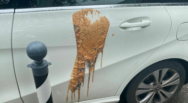 MIRANO Acido versato sull'auto della responsabile della scuola elementare