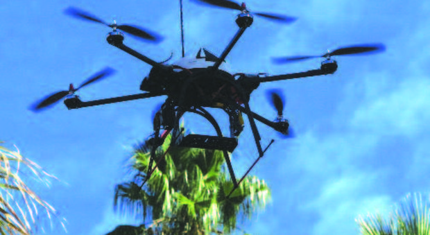 I droni sulle palme a caccia del punteruolo rosso