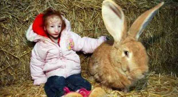 Charlotte Garside con il coniglio gigante (Metro)