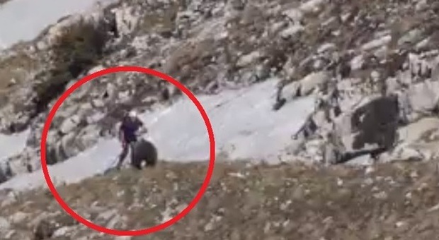 L'orso corre verso l'escursionista che lo accarezza: video eccezionale