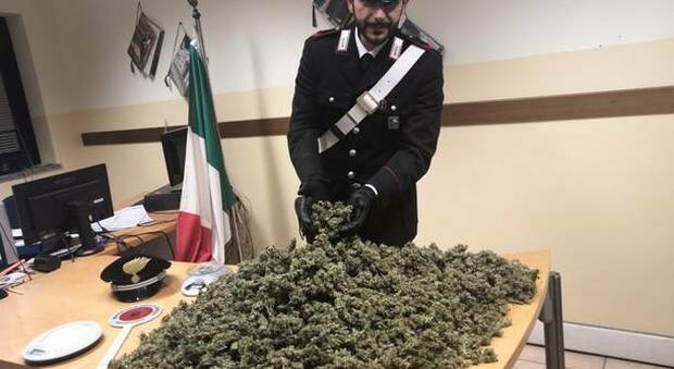 Clochard con cinque chili di marijuana arrestato a Torre del Greco
