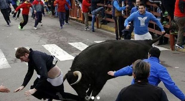 Spagna, toro incorna uno studente statunitense: è grave