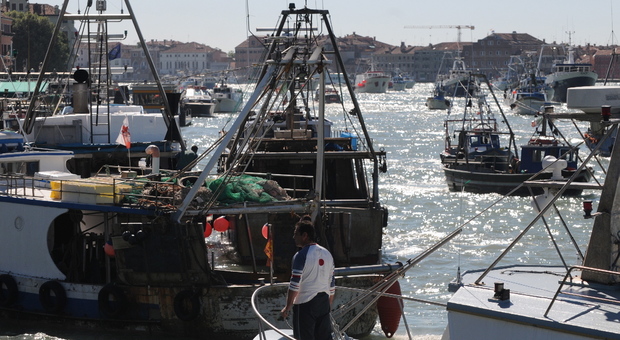 Quel pericolo che arriva dai fiumi al mare: imbarcazioni a rischio sul litorale veneziano