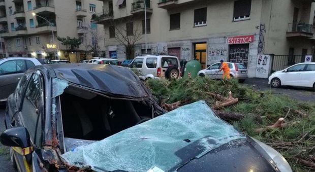 Roma, albero crolla e distrugge sei auto a Montesacro