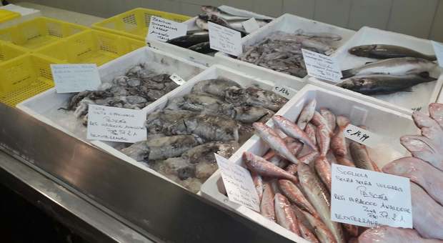 Blitz nel ristorante: 100 chili di pesce sequestrato dalla guardia costiera