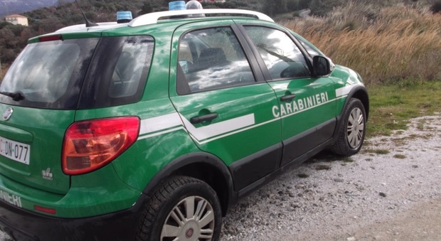 Disperso sul Sacro Monte di Novi Velia, ritrovato dai carabinieri Forestali