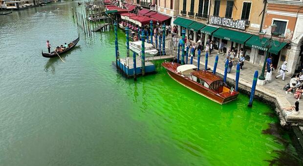Venezia, l'acqua del Canal Grande diventa verde fosforescente. Cosa è successo?