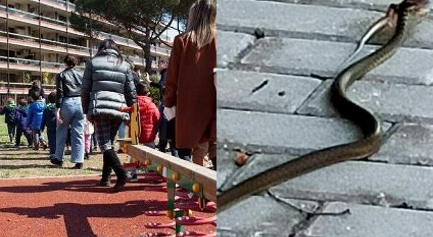 Serpente avvistato in un parco all'Eur. L’allerta (social) dei cittadini: «Non è velenoso, ma fate attenzione»