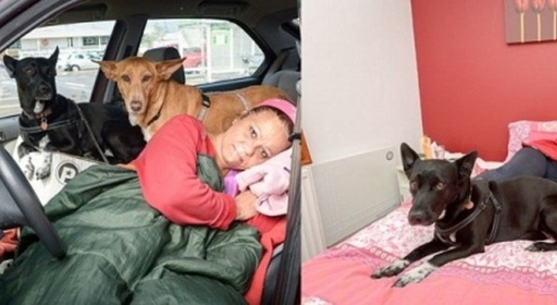 Lieto fine Ricordate la Prof che dormiva in auto per non lasciare i suoi cani? Un bel giorno...
