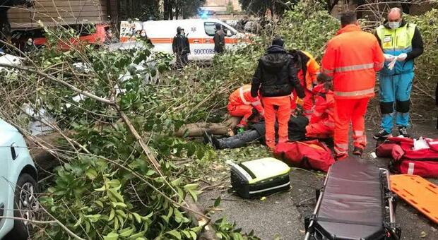 Maltempo, alberi caduti ferito un passante al Flaminio