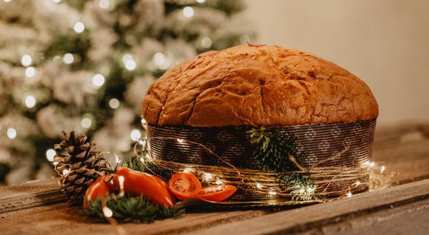 Il panettone al pomodoro Torpedino candito novità sulle tavole del Natale 2019