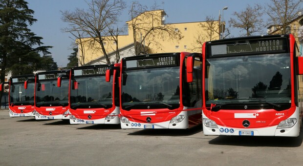 I cinque nuovi autobus di Trotta