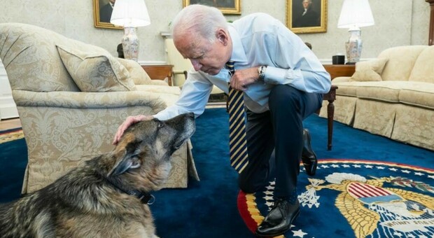 Biden, i cani allontanati dalla Casa Bianca per «aggressione a un addetto alla sicurezza»