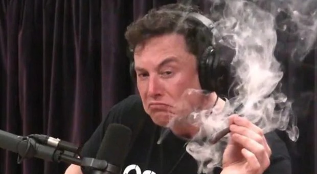 Elon Musk fuma marijuana durante intervista in diretta e il titolo Tesla crolla in borsa Foto