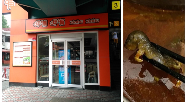 Cliente trova un topo nella zuppa, ristorante cinese perde 190 milioni