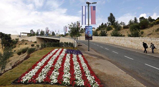 La bandiera americana realizzata con alcuni fiori