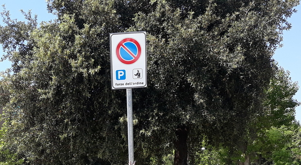 Ancona, vede il "suo" parcheggio occupato da un altro disabile: scoppia la lite con una spranga