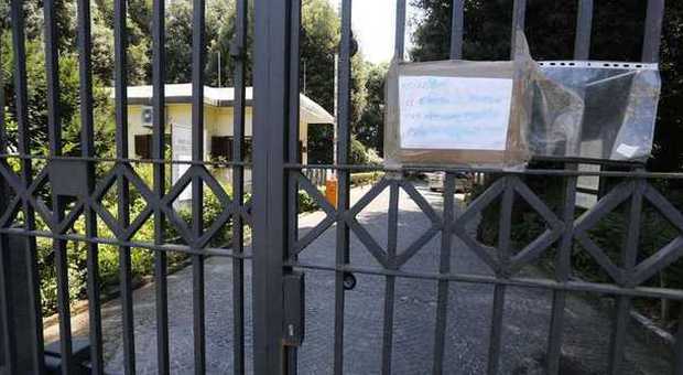 «Alberi a rischio»: chiude il parco di Capodimonte | Foto