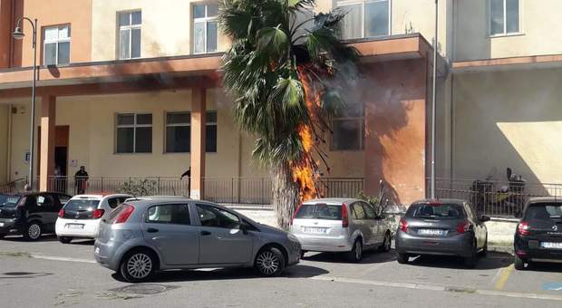 Paura in tribunale a Nocera, albero all'esterno degli uffici prende fuoco