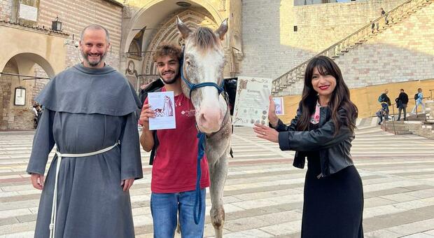 Dalla Basilicata ad Assisi, 500 chilometri a piedi per portare il cavallo cieco da San Francesco
