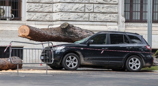 Roma, tragedia sfiorata dentro il palazzo della Marina Militare: cade un pino e precipita su un'auto