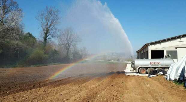 Veneto Orientale, allarme siccità: la pioggia non basta. L'appello degli imprenditori agricoli: «Servono ristori subito» (foto di archivio)