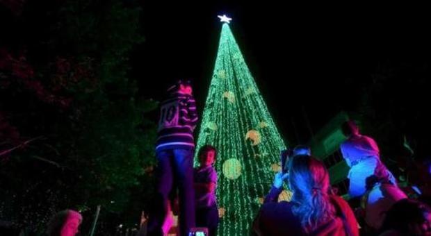 A Canberra l'albero di Natale da record: alto 22 metri e con oltre 518mila lucine
