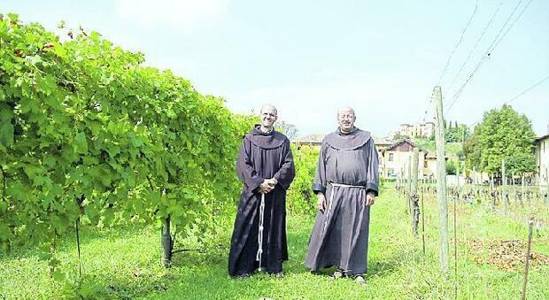 CONEGLIANO La Scuola Enologica preserverà l'oro di Venezia, un vitigno