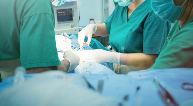 Torino, trapianto di fegato subito dopo il parto: salva una donna di 38 anni