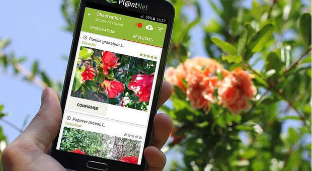 App, piante e fiori si svelano con un click