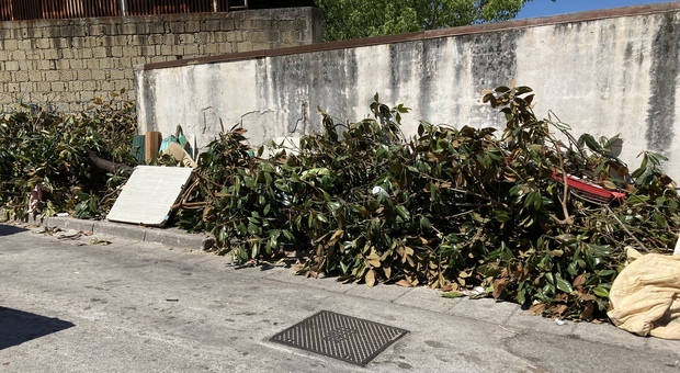 Napoli, un albero tra i rifiuti sversati in strada: micro-discariche a Ponticelli