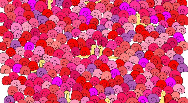 Riesci a trovare il cuore nascosto tra le lumache? Ecco il quiz di San Valentino -Guarda