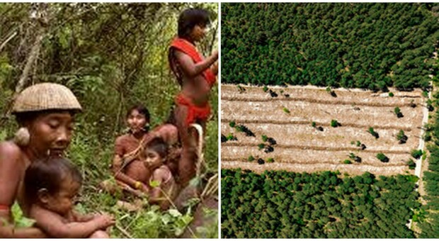 Brasile, il governo espelle i coloni che risiedono illegalmente nelle terre indigene dell'Amazzonia