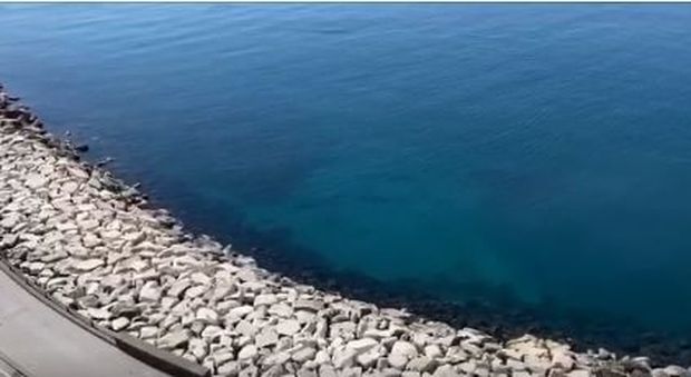 Coronavirus a Napoli, il mare di via Caracciolo diventa cristallino e spettacolare