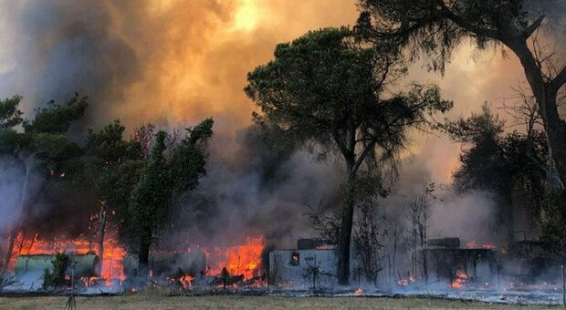 Brucia la pineta di Castel Fusano, incendio minaccia camping: fiamme domate