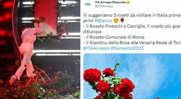 Sanremo, "caso Blanco": risponde anche ITA Airways. «Prima che li distrugga dovete visitare questi roseti»