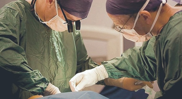 Trapianto di vertebre umane, il primo intervento riuscito in Italia: speranza per i malati di tumore