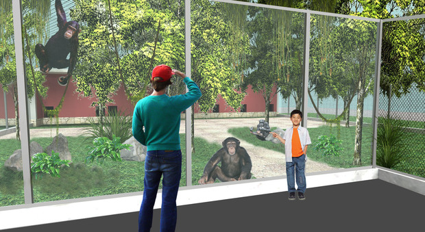 Zoo di Napoli, con «Meridonare» il crowdfunding per la “casa” degli scimpanzè