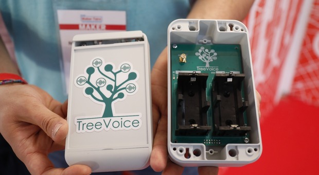 Il sensore di Treevoice (foto Giacomo Gabrielli/Ag.Toiati)