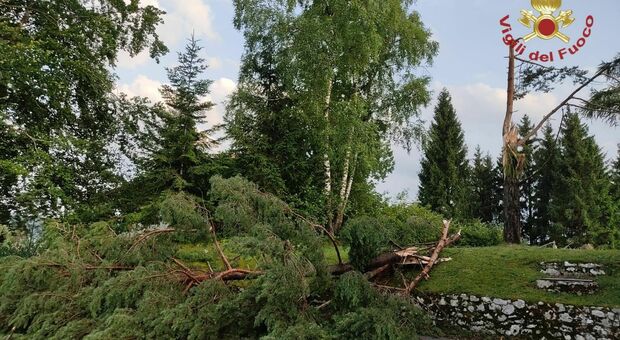 Asiago, maltempo sull'Altopiano: alberi caduti a Roana