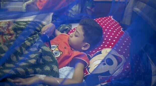 Dengue, in India 70 morti in 7 giorni e scuole chiuse: che cos'è la malattia che spaventa il Paese