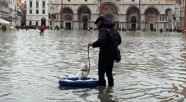 Venezia a rischio, il livello del mare può crescere fino a 1,2 metri: gli scenari dei ricercatori