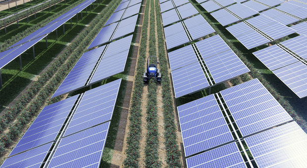 Fotovoltaico integrato con l'agricoltura: energia green e coltivazioni gratuite